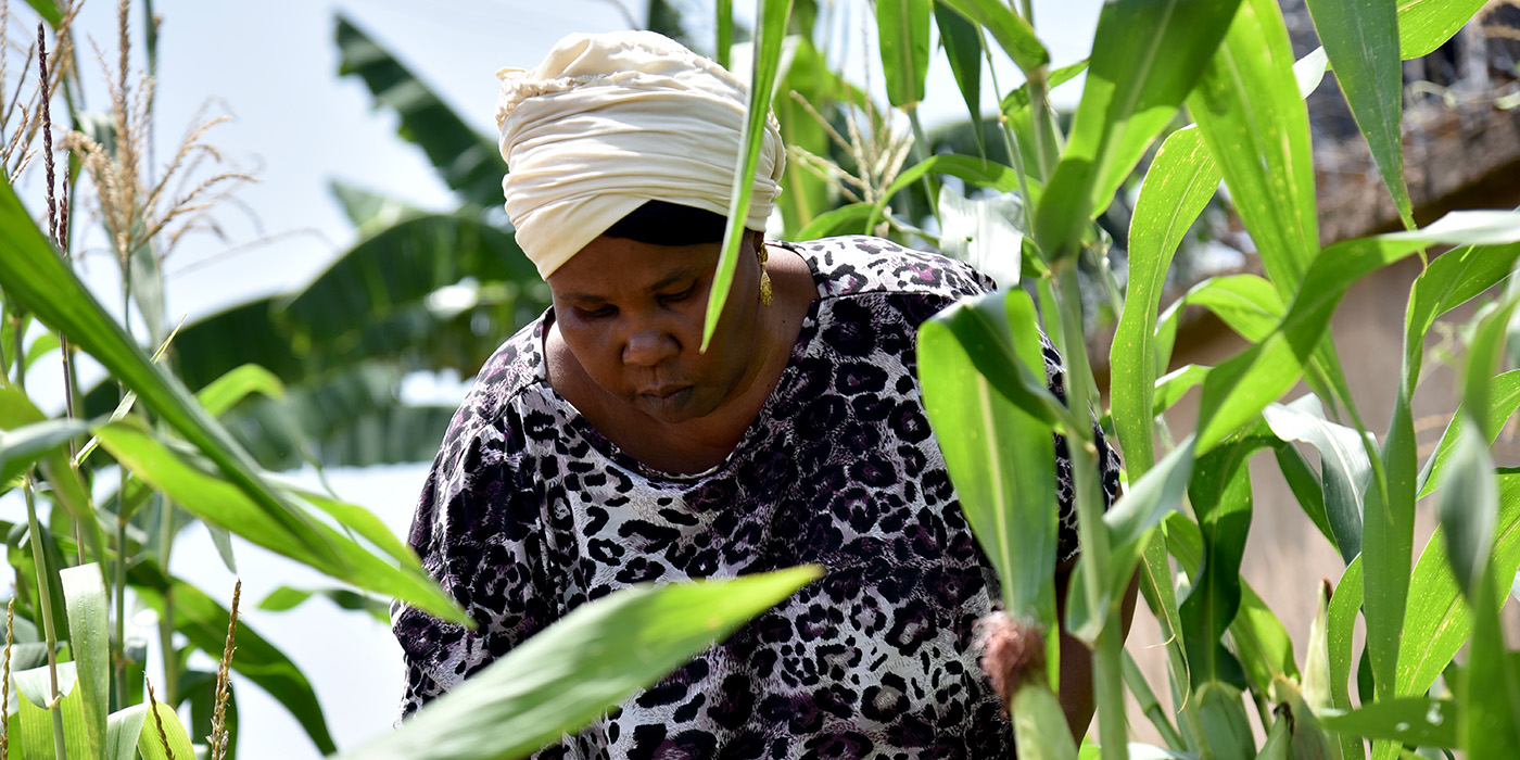 A photo of Amina, a woman in Nigeria